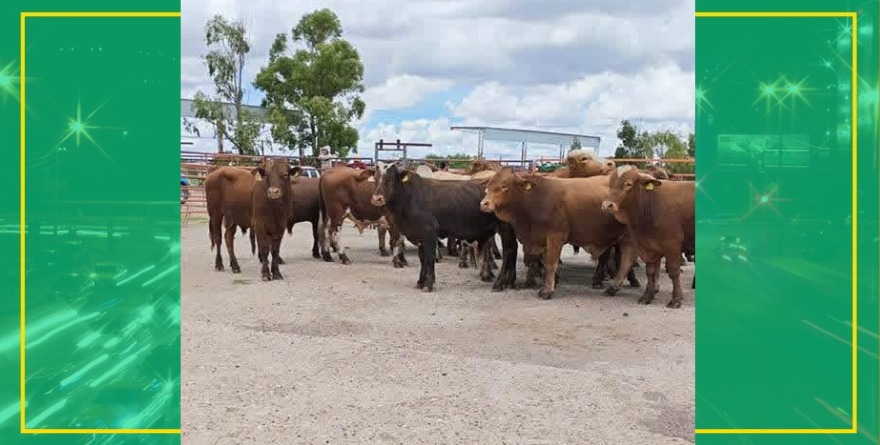 Productores denuncian simulación de apoyos