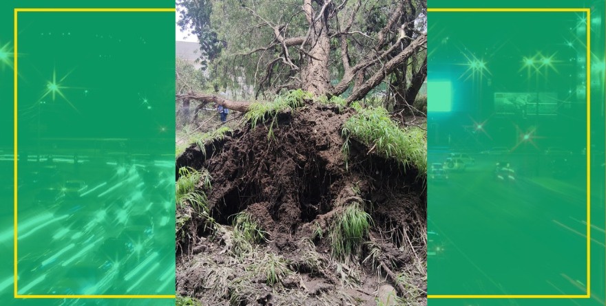 Alerta en parque Tangamanga II