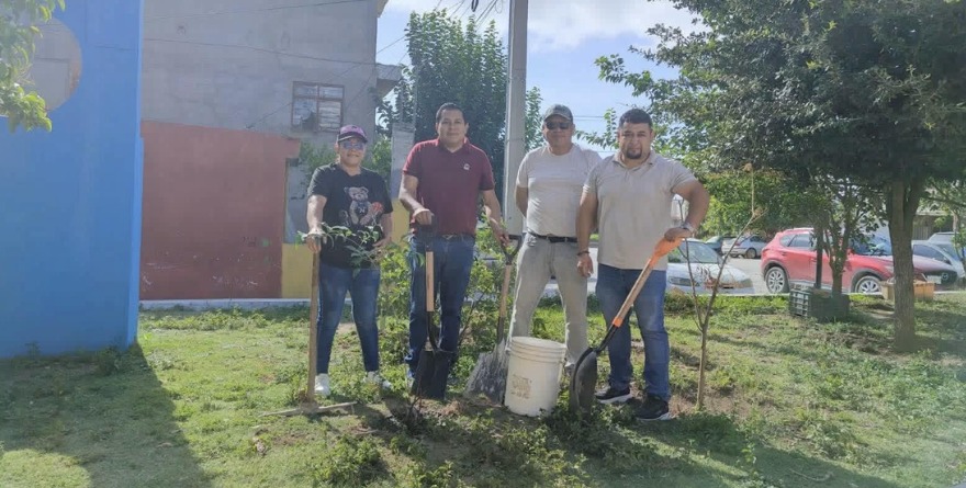 Transforman espacios públicos con árboles