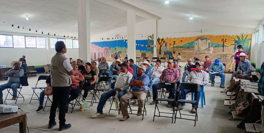 Refuerzan prevención ante felinos silvestres