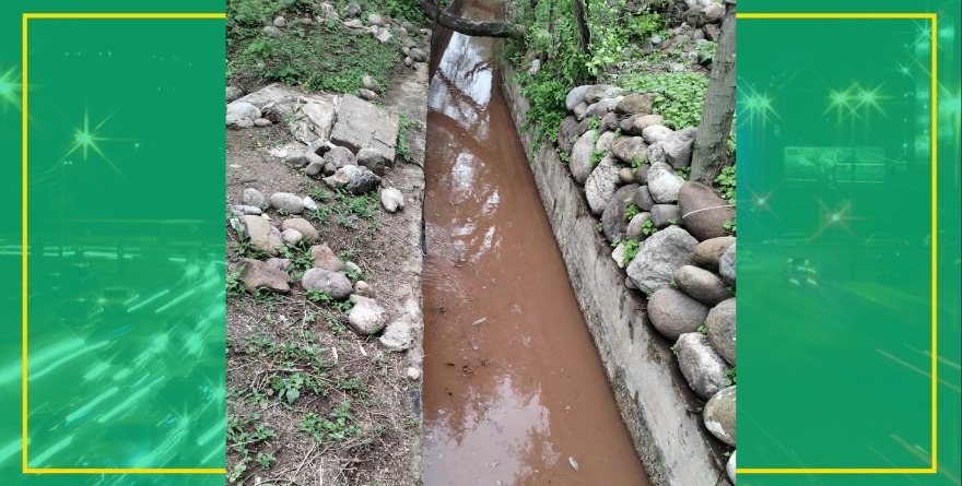 Expertos estudian calidad del agua