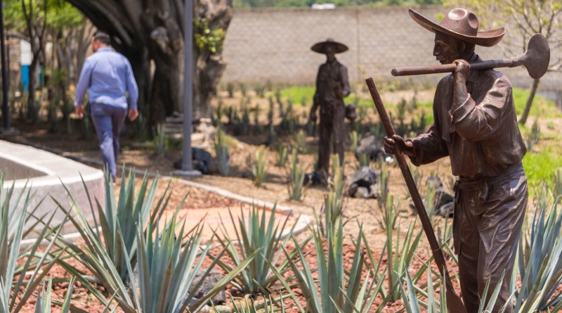 ALISTAN FESTEJO DEL DÍA NACIONAL DEL TEQUILA CON NUEVA FECHA