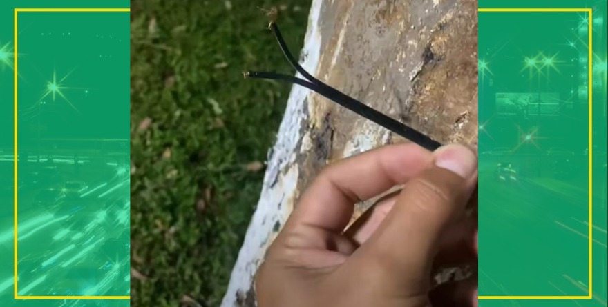 Vandalizan plazuela rescatada por vecinos