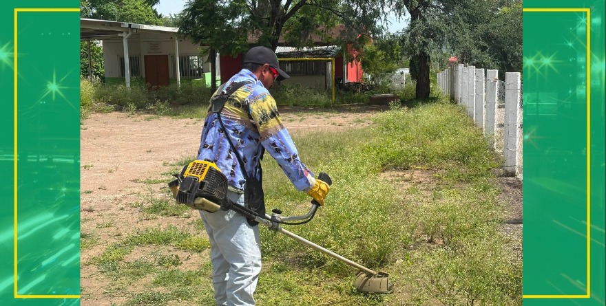 Reclaman fumigación urgente en las calles