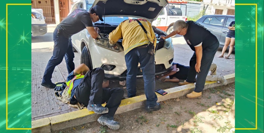 RESCATAN A GATO ATRAPADO