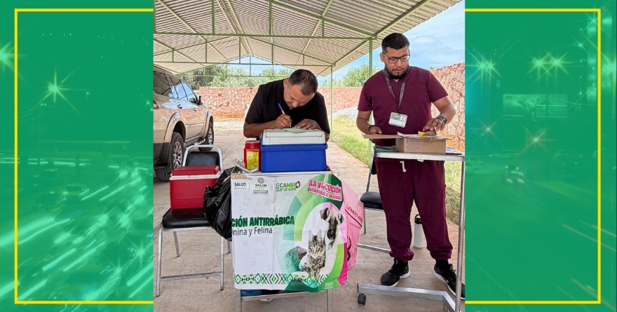 Vacunación Antirrábica en Santo Domingo