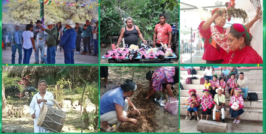 Reconocen a seis Tesoros Humanos Vivos en San Luis Potosí
