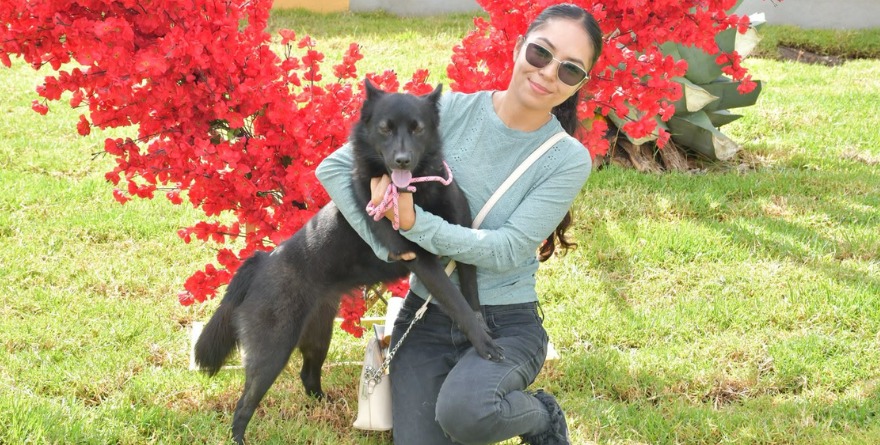 Refugio “Corazón Canino” en Ahualulco