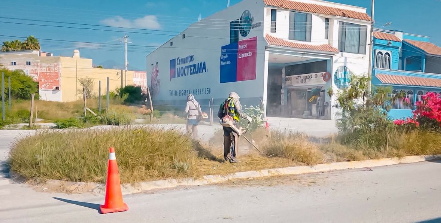 Reclaman limpieza urgente en colonias