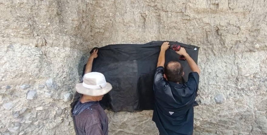 Ubicación de fósiles moviliza a expertos