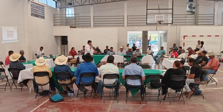 Cedral previene plaga de ganado