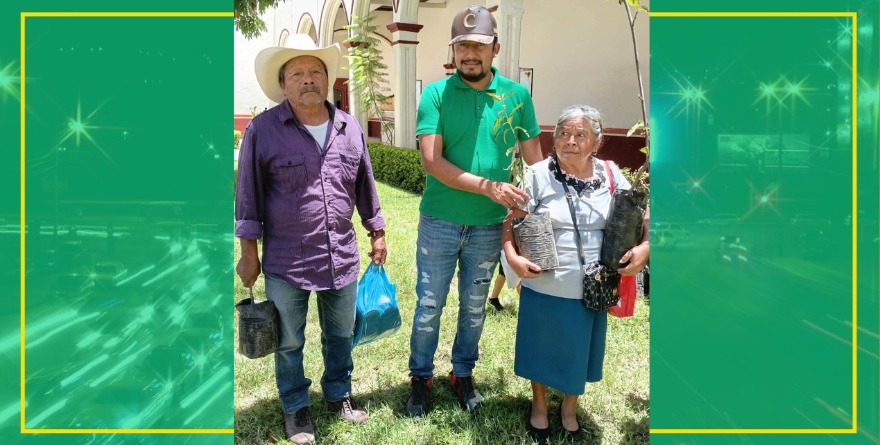 Impulso verde en Ciudad del Maíz