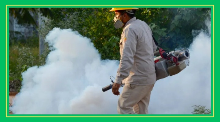 Descienden casos de dengue en la Huasteca 