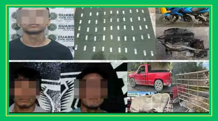 Cae ratas de carros y ganado