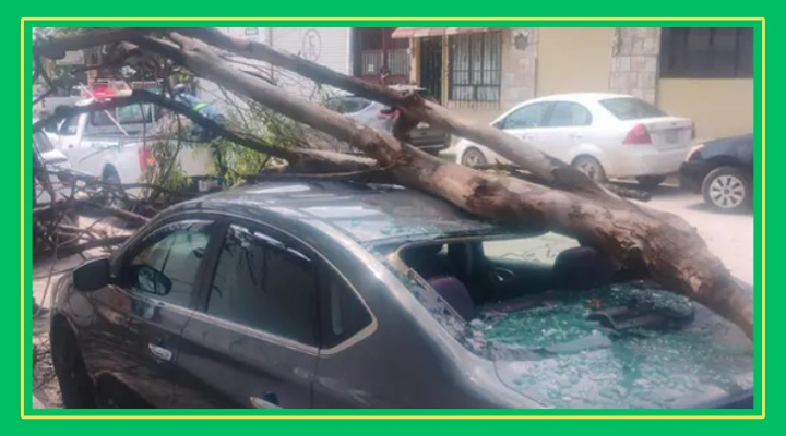 ¡Santo ramazo en la Altavista!