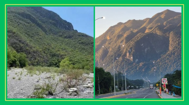 Pierde la Sierra Madre Oriental el 30% de sus bosques en SLP