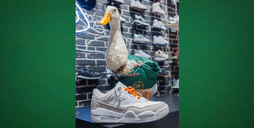 ¡De colección! Panam lanza tenis de edición limitada del Pato Merlín