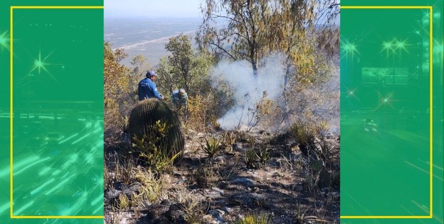 Disminuyen incendios forestales en San Luis Potosí durante 2026