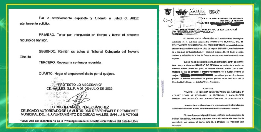 Impugnan Ayuntamiento fallo por caso Hachi