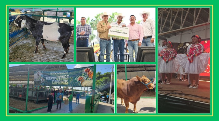 ¡Fiesta del campo en Tierra Ganadera Fenapo!