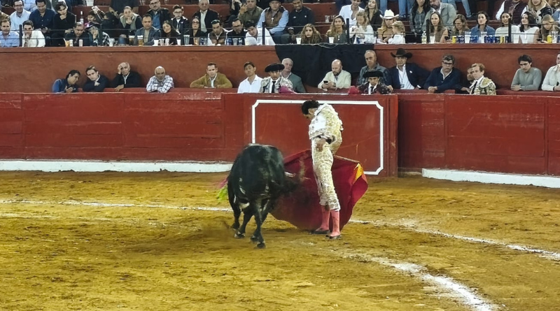 Triunfa Diego San Román en SLP