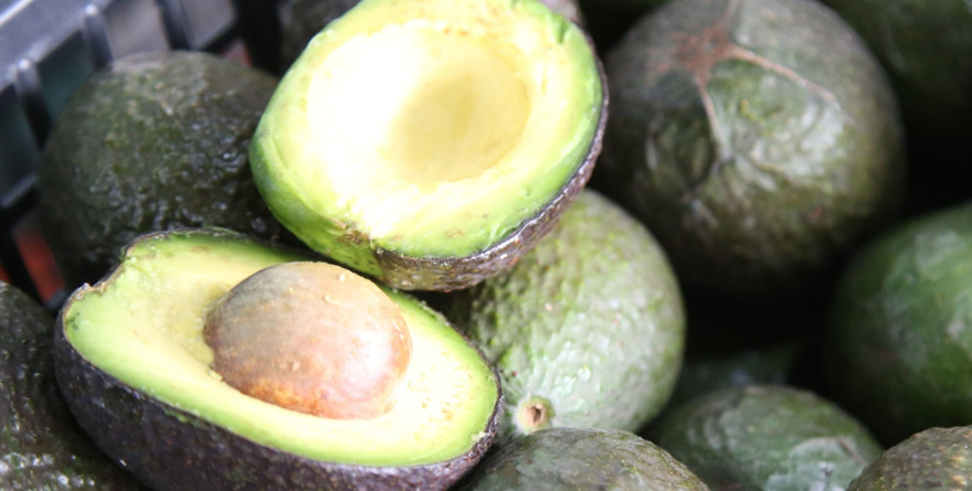 FRENA INSEGURIDAD AL AGUACATE MEXICANO