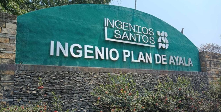 Pagan liquidación a cañeros