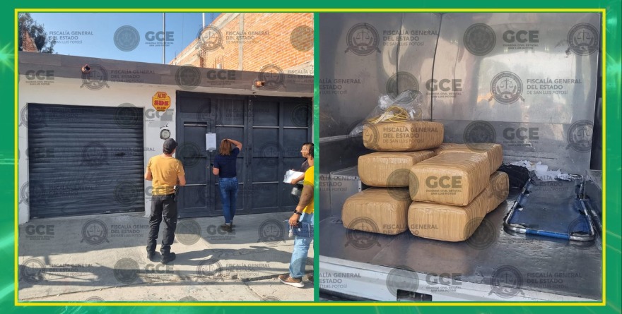 Decomisan droga en SLP