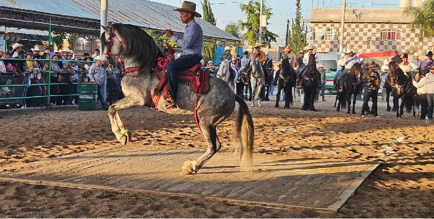 SAN LUIS POTOSÍ RECIBE CAMPEONATO NACIONAL DE CABALLOS BAILADORES EN FENAPO 2026