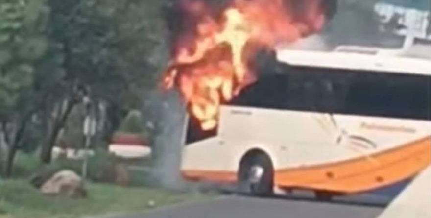CAE CAPO EN MICHOACÁN