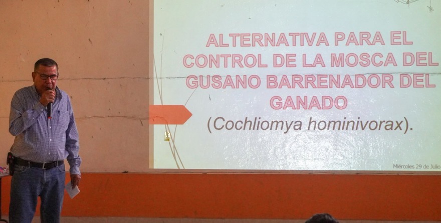Protegen ganado con trampas sustentables