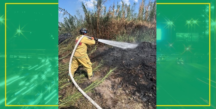 Incendio de pastizal en Ciudad Fernández