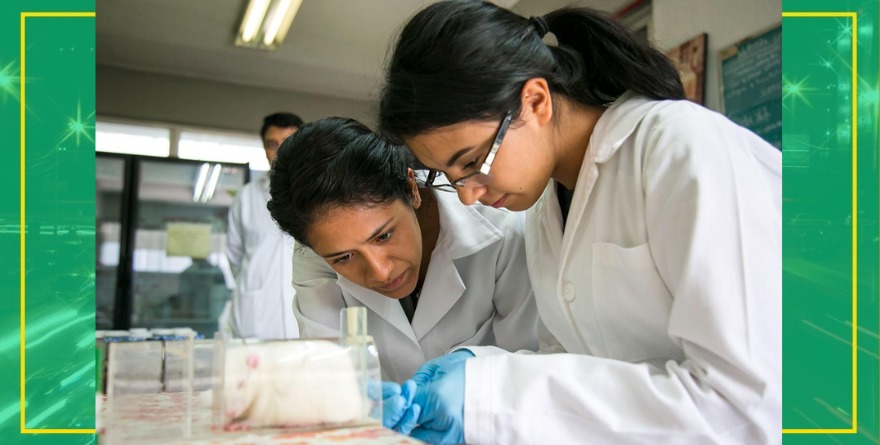 Impulsan proyectos sobre la innovación