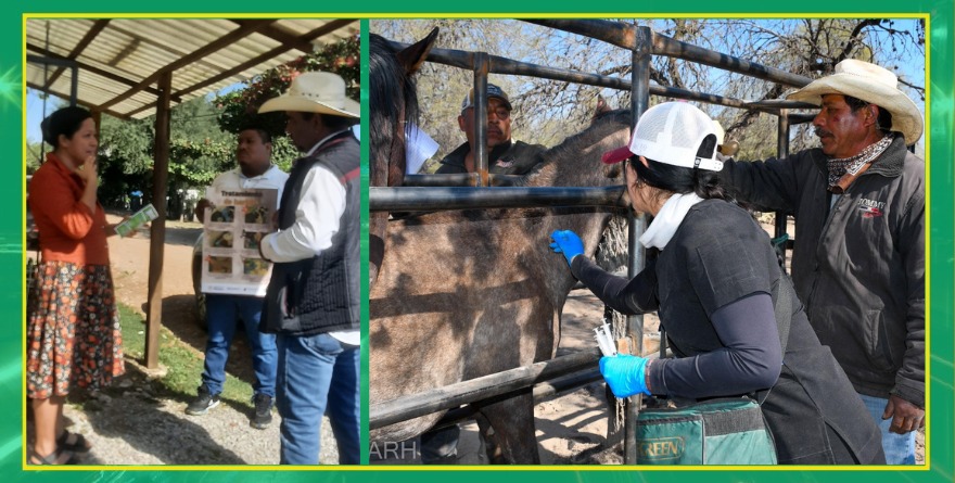 Capacitan a productores pecuarios en el Altiplano