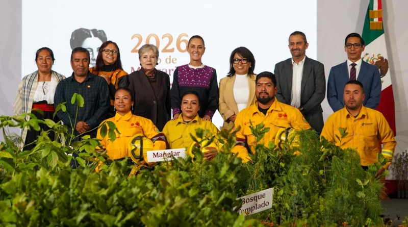 EXPONEN GOBERNADORES SEQUÍA, PÉRDIDA FORESTAL Y TALA ILEGAL