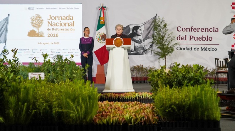 PIERDE MÉXICO 204 MIL HECTÁREAS FORESTALES AL AÑO