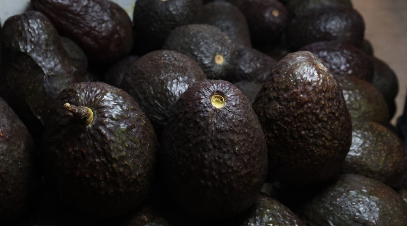 REANUDA EU (PARCIALMENTE) INSPECCIONES AGUACATERAS