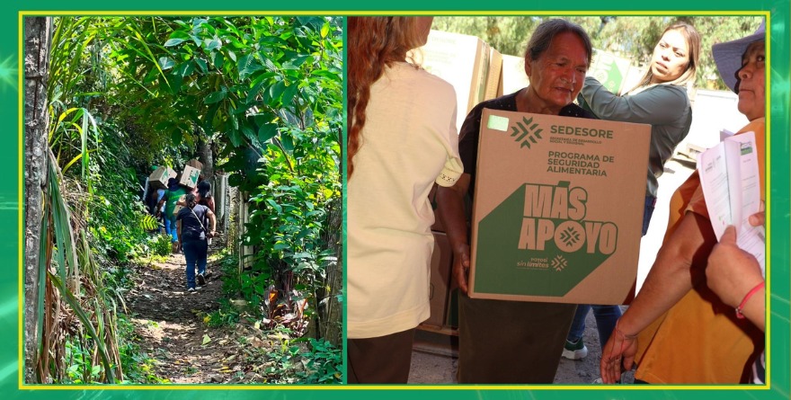 Avanza entrega de apoyos alimentarios