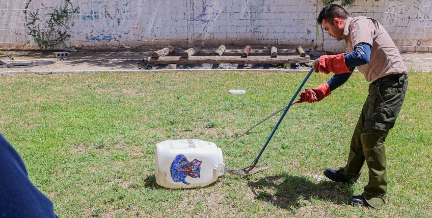 Enseñan manejo seguro de fauna