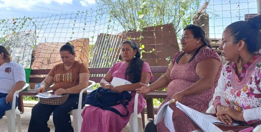 Rechazan Comité de Partería