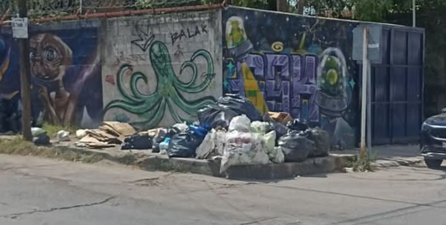 Basura en mercados municipales