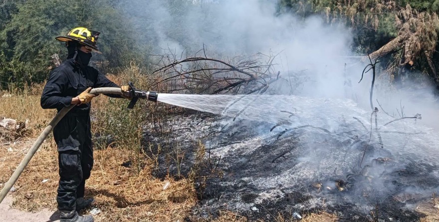 Bomberos sofocan incendio de pastizal