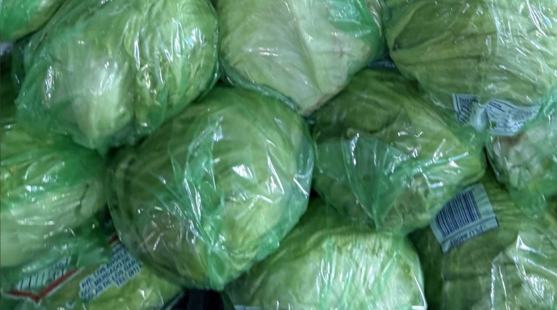 INDAGA EU EN GUANAJUATO AGUA USADA PARA LECHUGAS