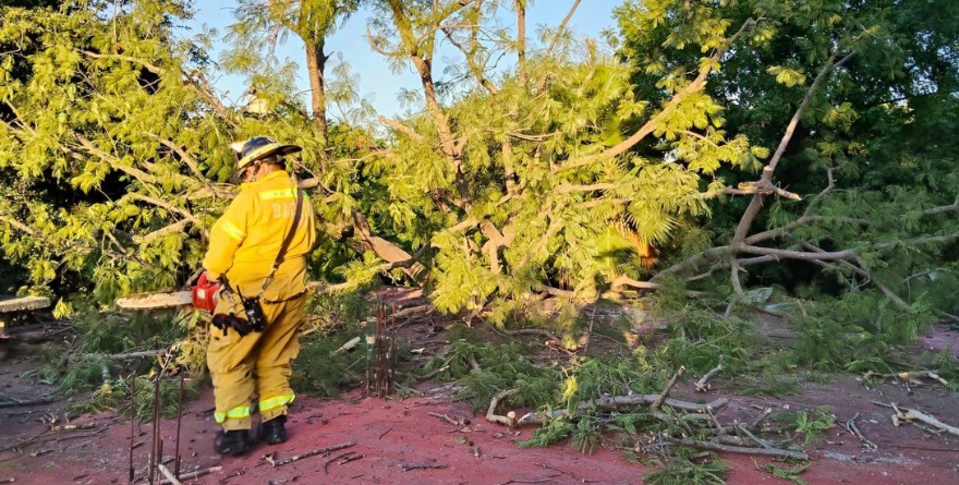 Cae árbol sobre vivienda en Ciudad Fernández