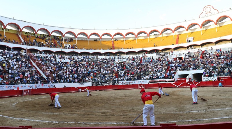 REGRESAN NOVILLADAS A LA PLAZA DE TOROS NUEVO PROGRESO