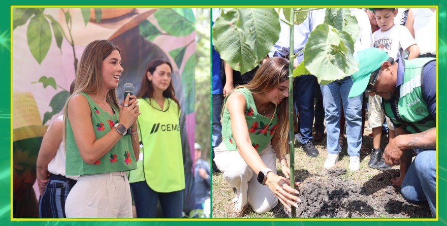 Impulsan reforestación en Valles y Tamuín