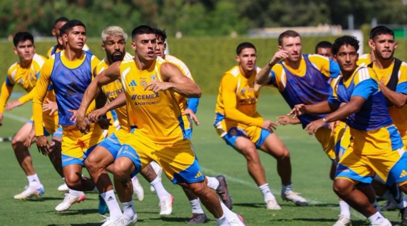 LO QUE DEBES SABER DEL TIGRES- ATLANTE