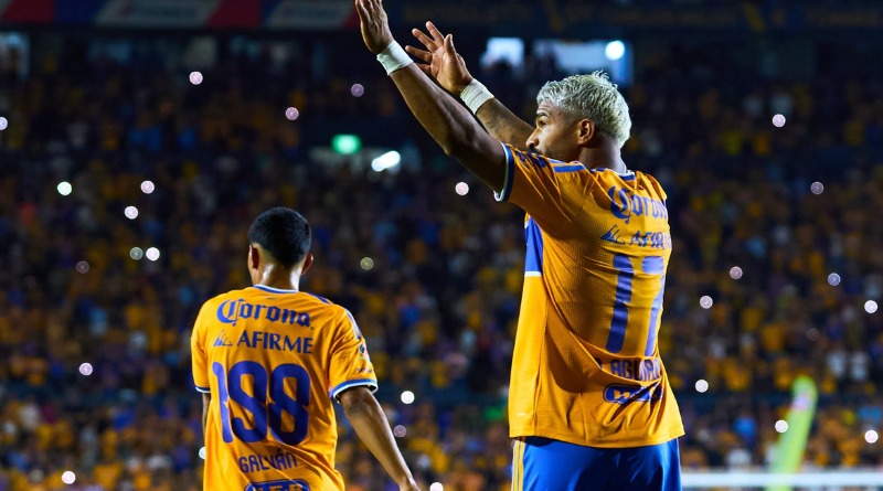 Y LLEGÓ EL TRIUNFO A TIGRES