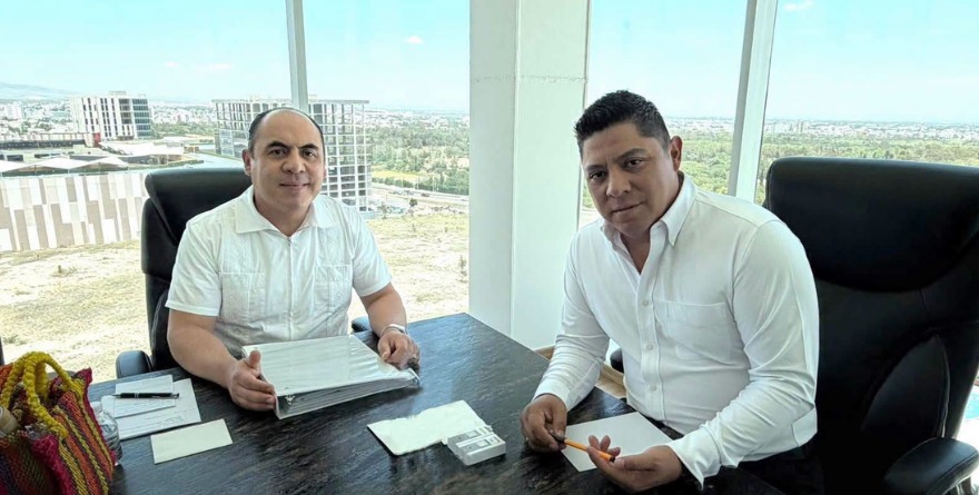 Controlan panal de avispas en la zona centro