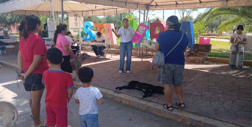 Impulsan cuidado de animales domésticos